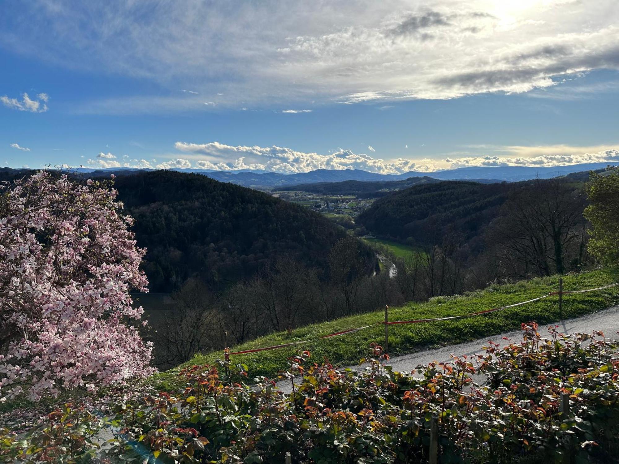 Winzerhaus Roemerstrasse Kitzeck im Sausal Zewnętrze zdjęcie